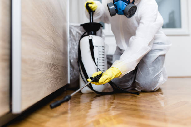Best Residential Pest Control  in Baldn, WI