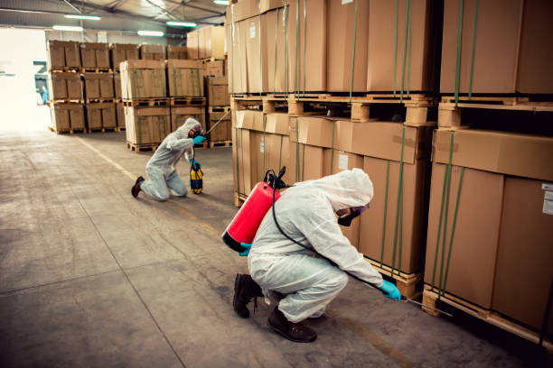 Best Best Pest Control Companies  in Baldn, WI
