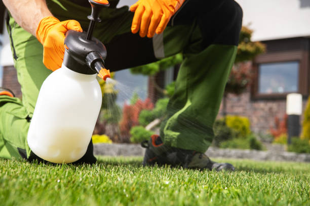 Best Emergency Pest Control  in Baldn, WI