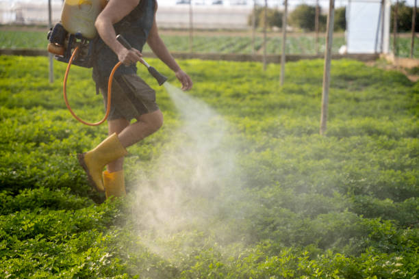 Best Exterminator Services  in Baldn, WI