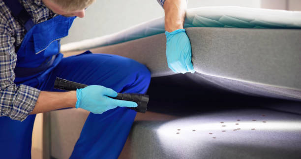 Best Bed Bug Extermination  in Baldn, WI