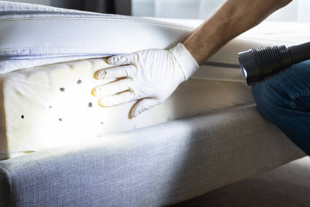  Baldn, WI Pest Control Pros