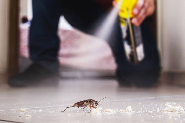 Best Rodent Control Near Me  in Baldn, WI