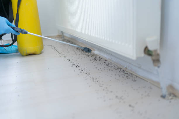 Best Commercial Pest Control Services  in Baldn, WI