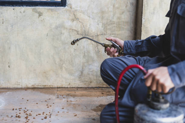 Best Best Pest Control Companies  in Baldn, WI